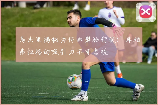 乌杰里揭秘为何加盟独行侠：库珀弗拉格的吸引力不可忽视