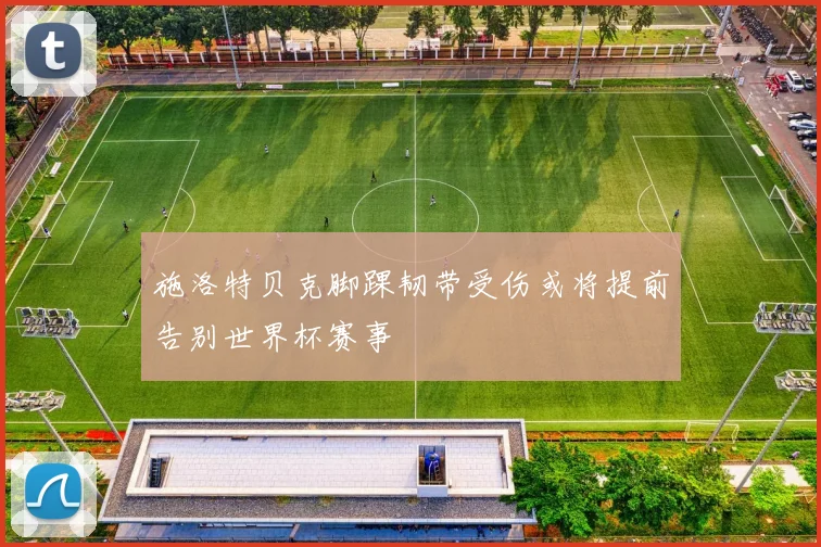施洛特贝克脚踝韧带受伤或将提前告别世界杯赛事