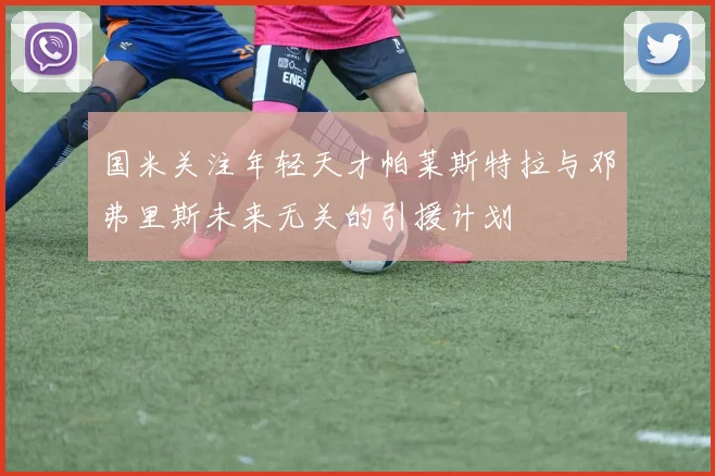 国米关注年轻天才帕莱斯特拉与邓弗里斯未来无关的引援计划